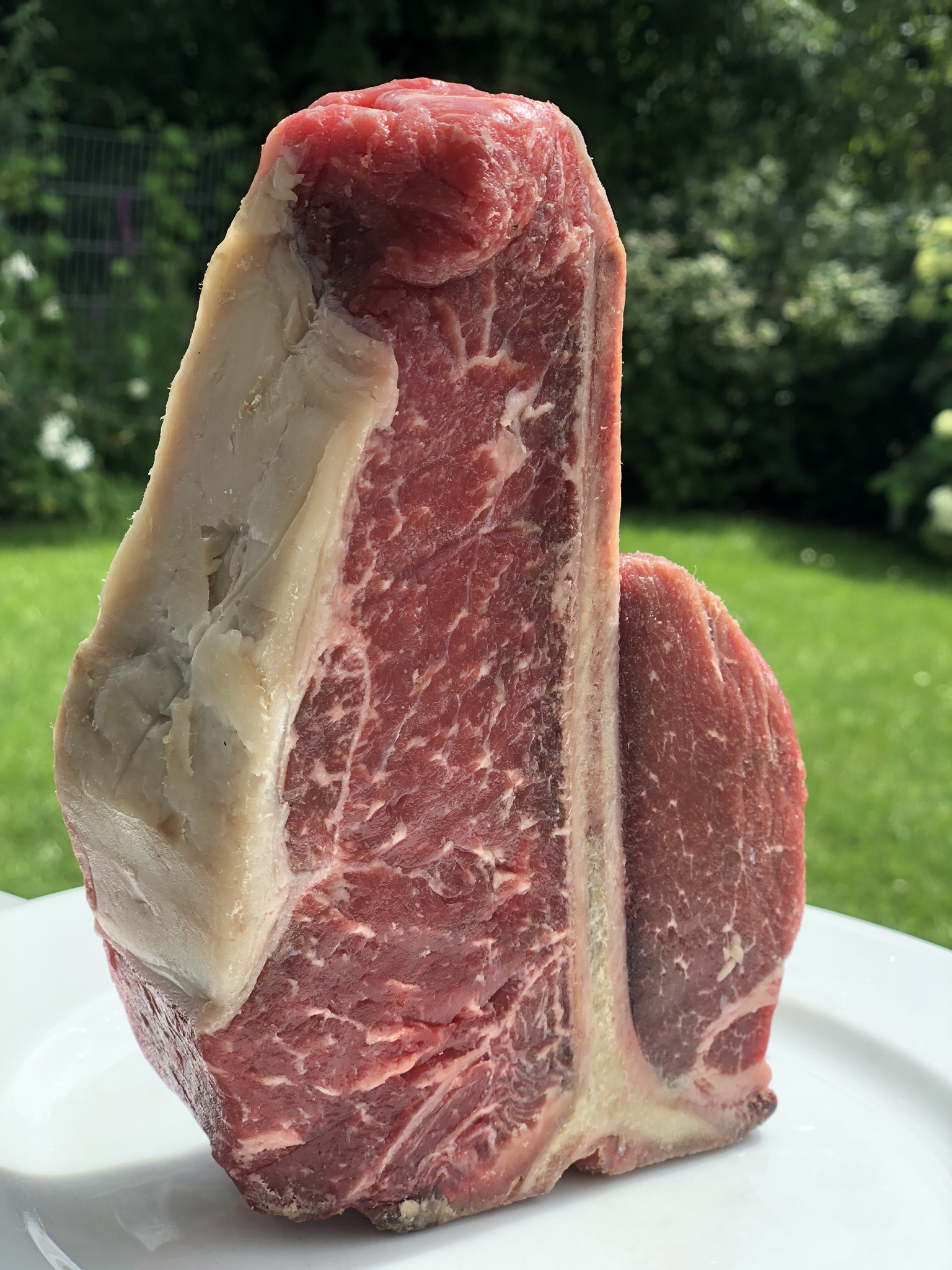 Dickes rohes Steak am Knochen auf einem weißen Teller
